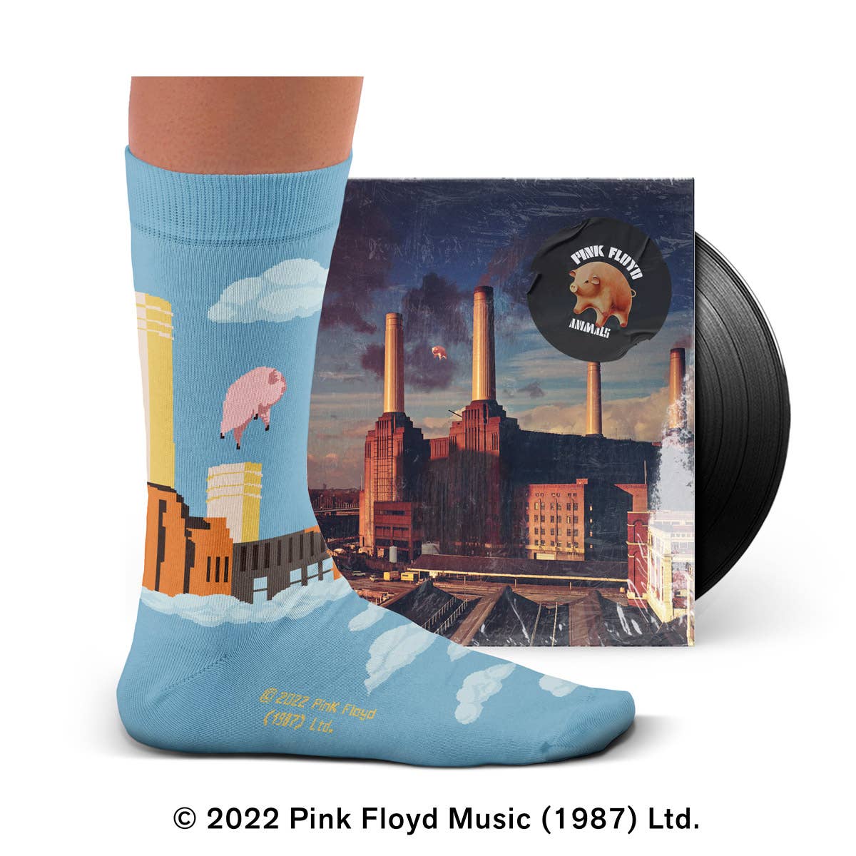Presente Meias Pink Floyd Animals: M: 36-40 UK (4-7) US (4½-7½)